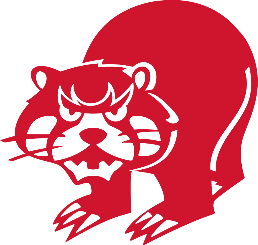 Cincinnati Bearcats 1973-1976 Secondary Logo DIY iron on transfer (heat transfer)